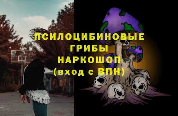прущие крисы Горно-Алтайск